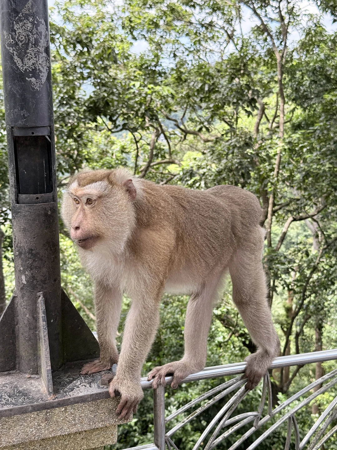 Экскурсия очень интересная, проехали по всем местам по программе и не только! Приятно быть там, где нет толп туристов и наслаждаться красивыми видами