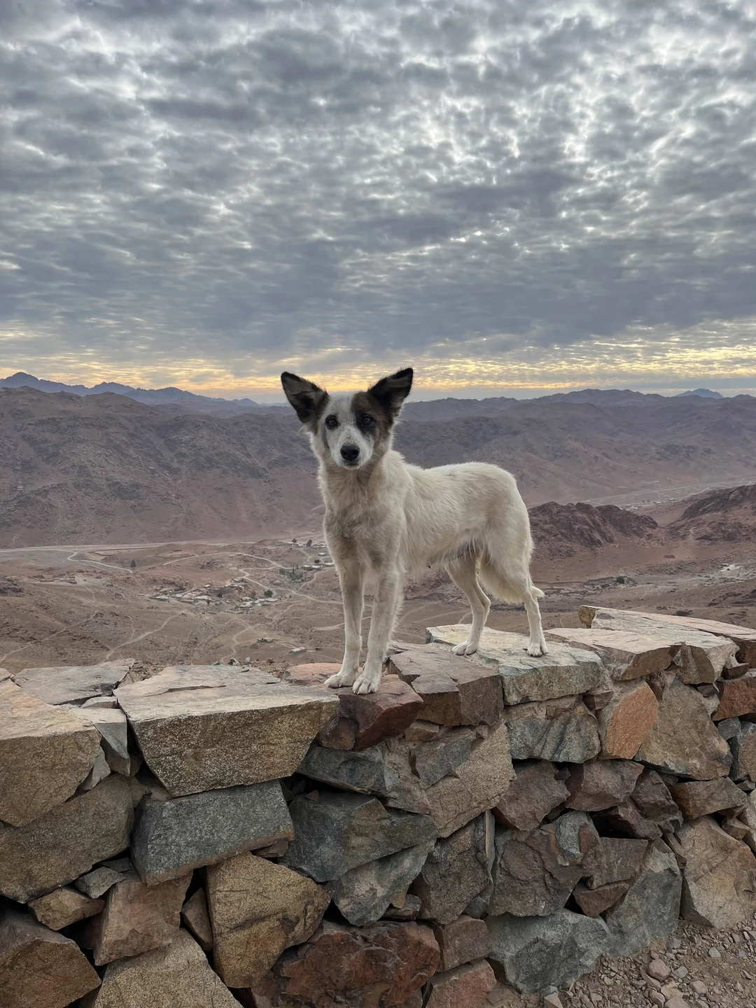 Однозначно стоит идти