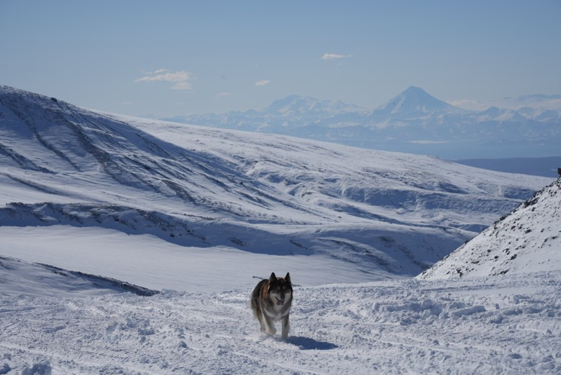 Мы — группа туристов из Китая, всего 6 человек. Кирилл и его команда прекрасно организовали нам