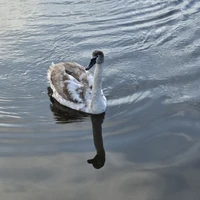 Фото отзыва 3: экскурсия "Набережная музея Мирового океана: семейная экскурсия-квест"