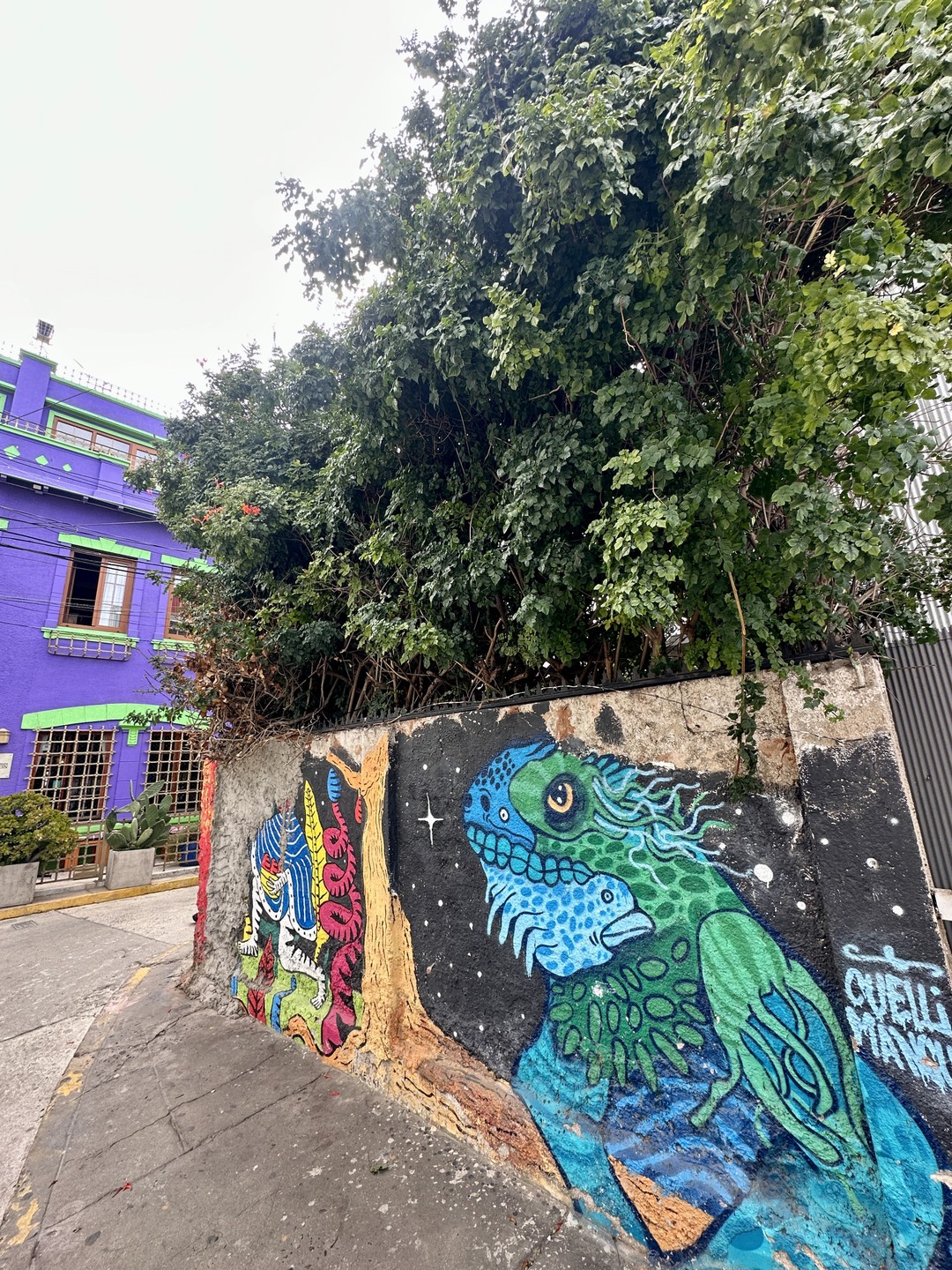 Организовано всё отлично! Провели шикарный день в Чили! Очень рекомендуем данный маршрут!