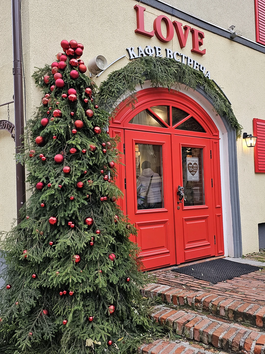 Замок, коты и динозавры (Анна)