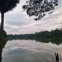 Фото отзыва 3: экскурсия "Храмы Ангкора: жемчужина Юго-Восточной Азии"