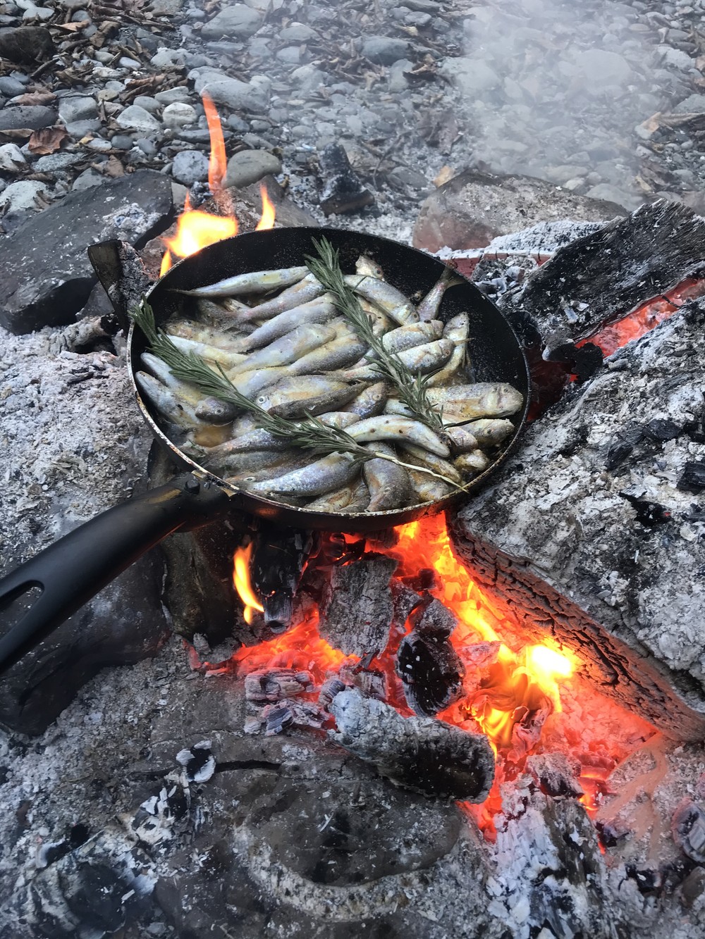 Морская и речная рыбалка в Сочи (13/21)
