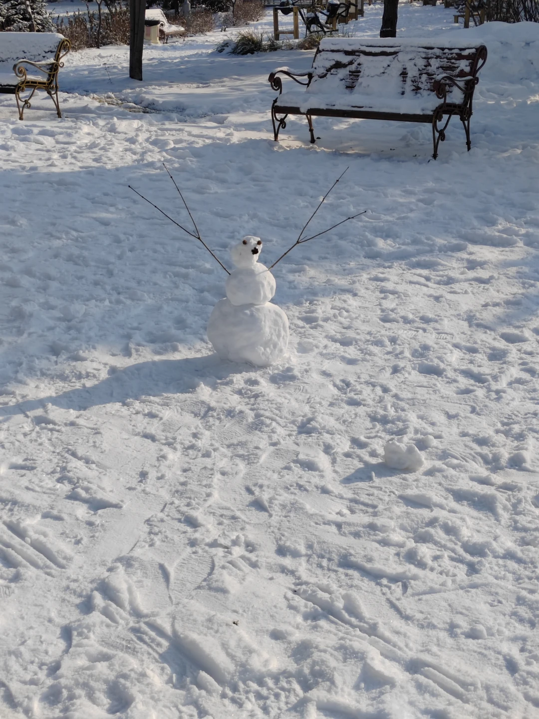 Все очень понравилось, экскурсовод Василий интересно рассказывал о природе, общительный и тактичный. Накануне выпал снежок, но