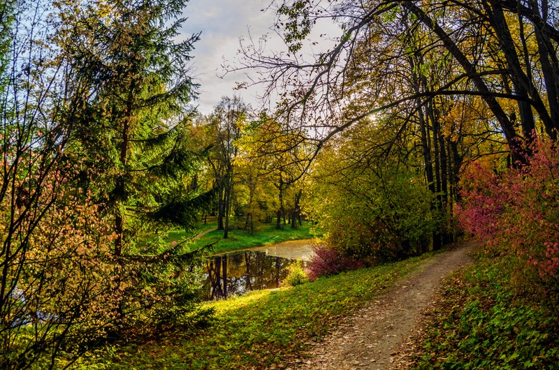 Фото к экскурсии По стопам Льва Толстого: из Тулы в Ясную Поляну