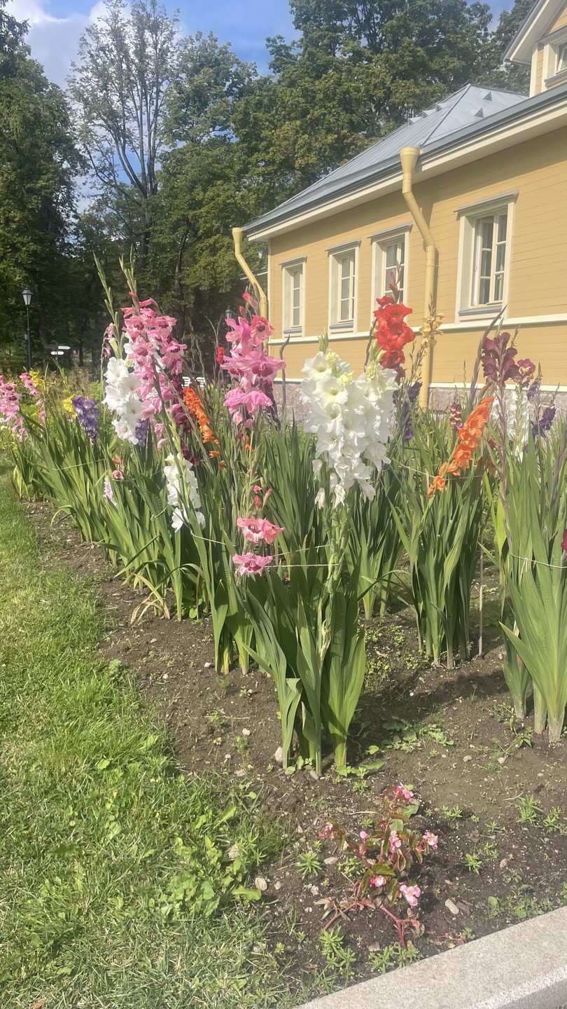 Мне очень понравилось. Елена прекрасный экскурсовод. Хочется с ней на экскурсии))