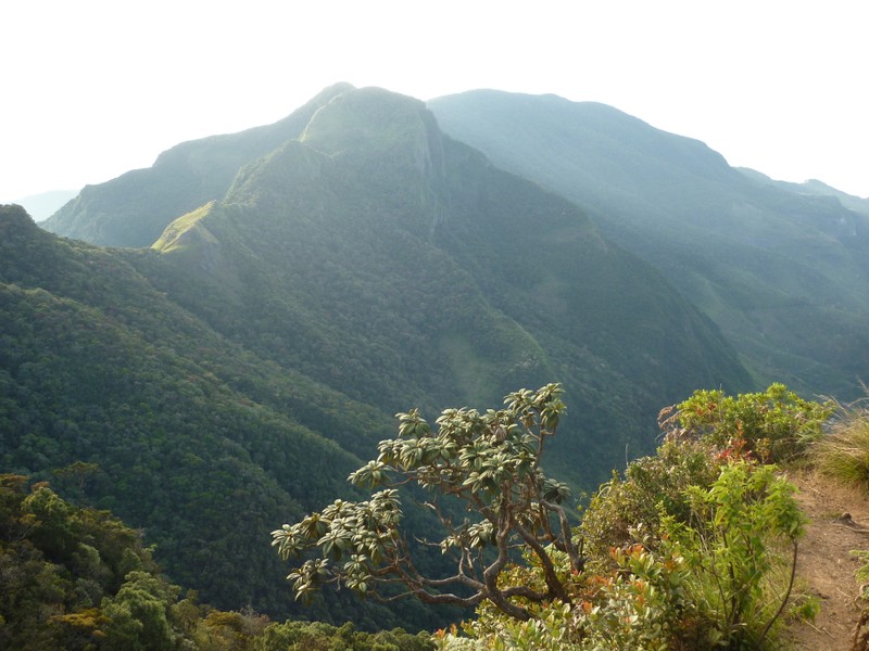 Горная Элла: поездка в формате «всё включено»