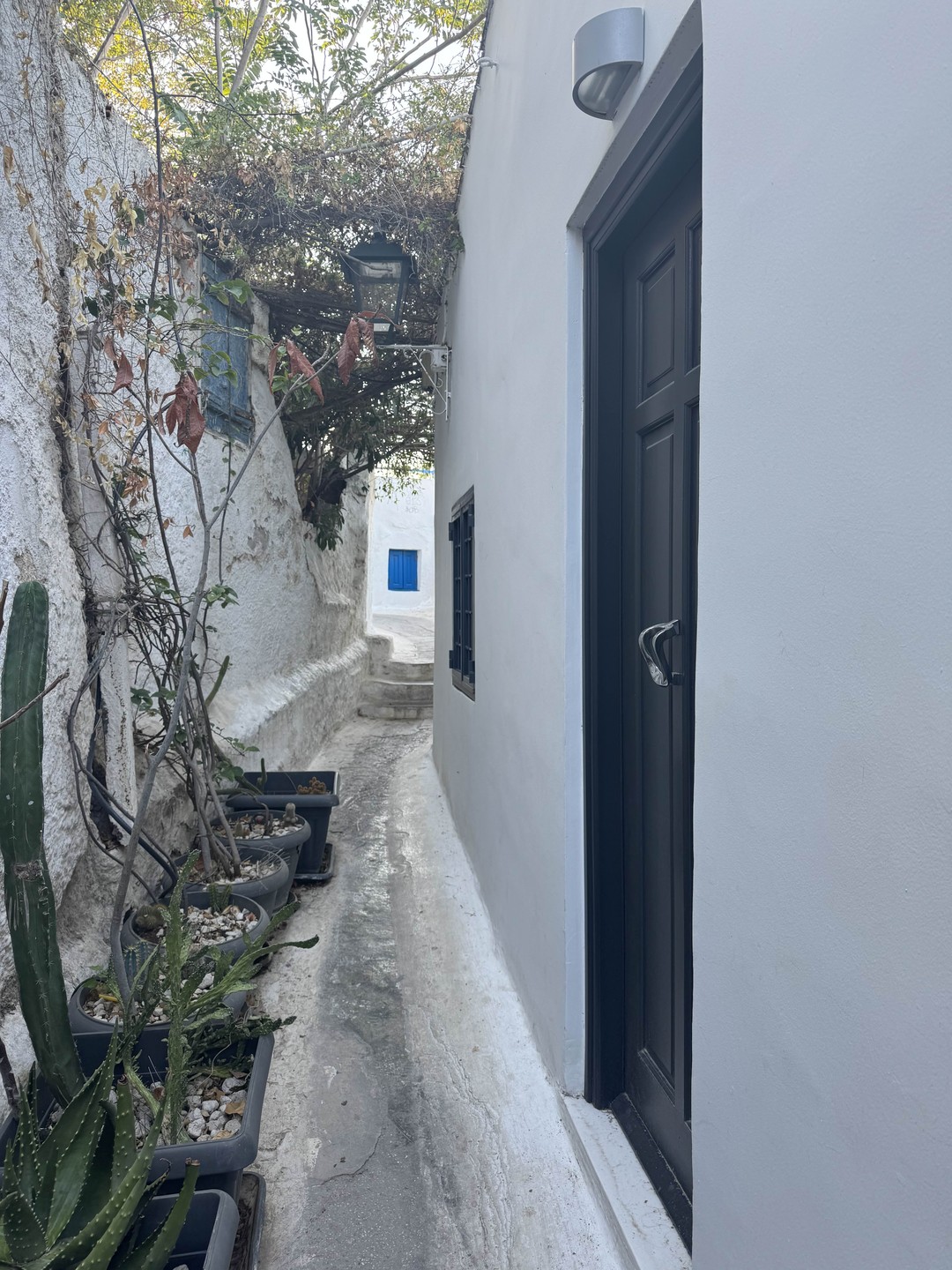 Перед встречей Марина обозначила общение на двух языках. Историю Греции не раскрыла, рассказ был непонятен. Исторических