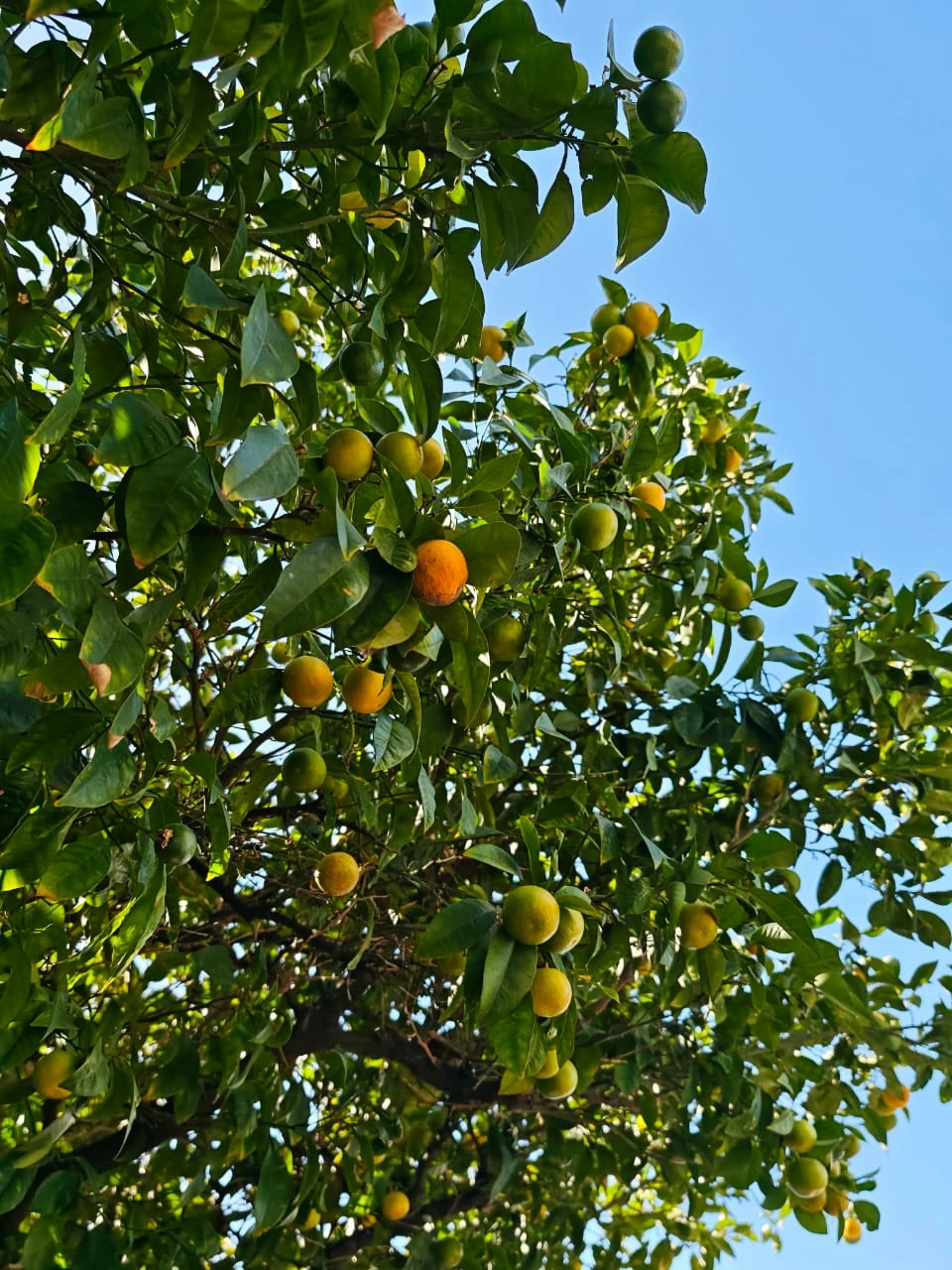 Анна, спасибо за прогулку по городу и Экскурсию. Были проездом в Афинах. За несколько часов Анна