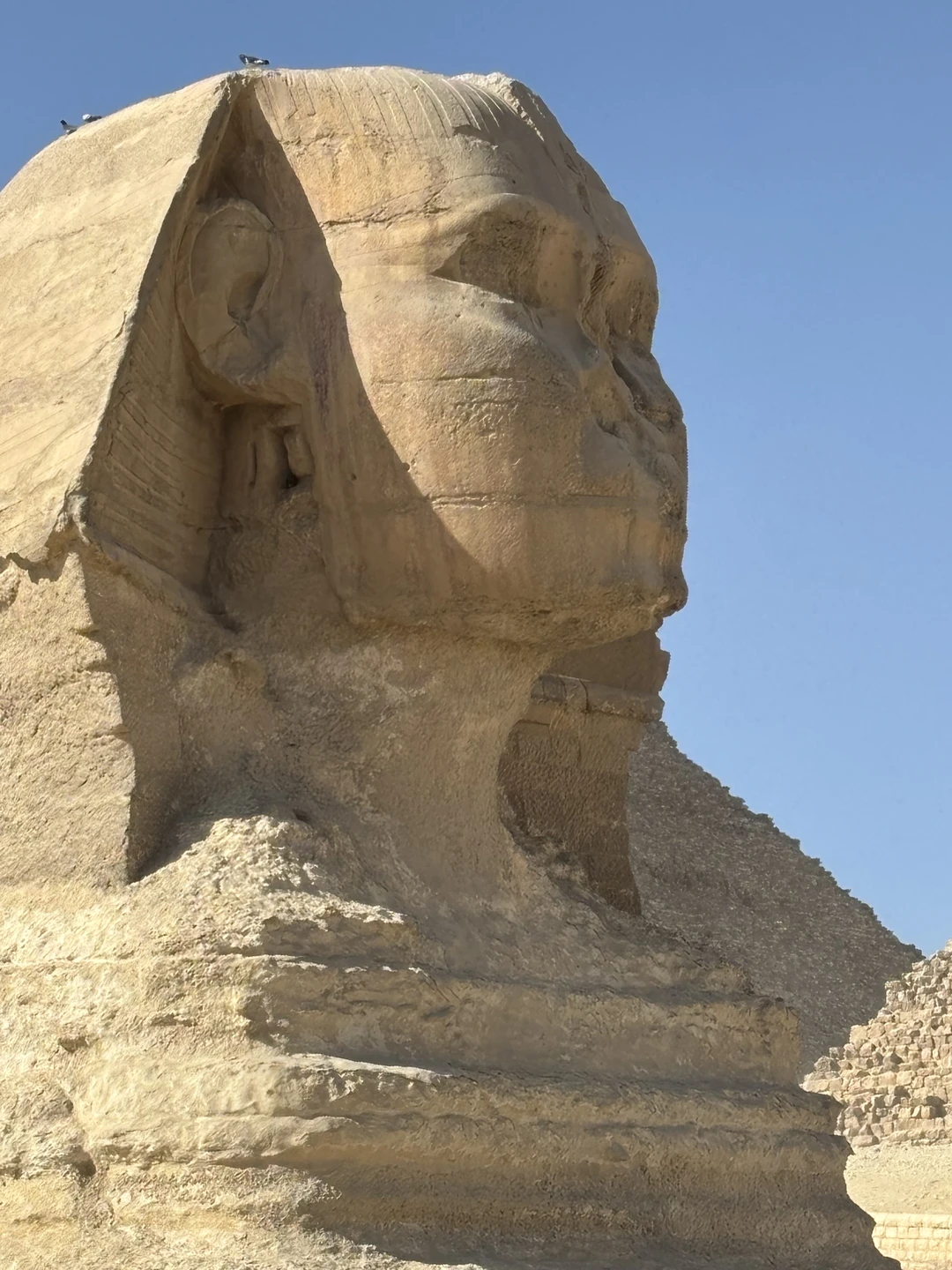 Экскурсия нам с женой, очень понравилась, мы в первый раз были в Египте, ранее в других