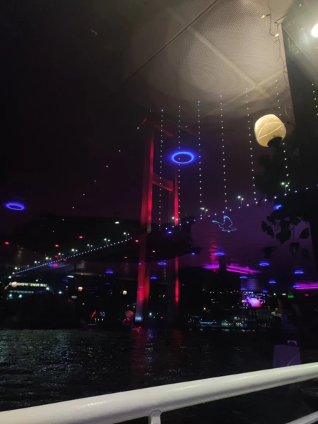 Приятное путешествие по вечернему Босфору! Комфортная посадка и размещение, хороший сервис, вкусная еда и яркое шоу. Нам понравилось 🙂