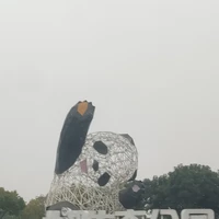 Фото отзыва 1: экскурсия "Город контрастов: Чэнду в ритме традиций и технологий"