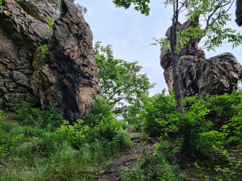 Фото экскурсии 8