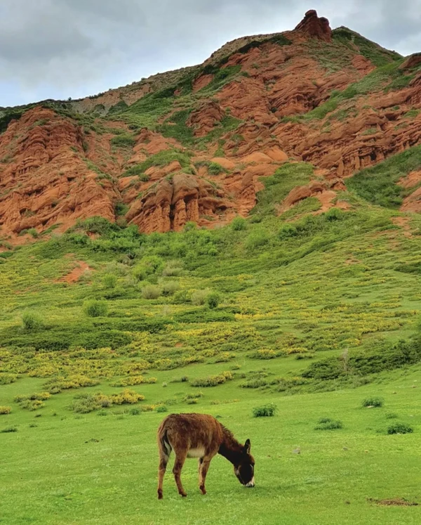Краски Кыргызстана: автотур по знаковым локациям с конной прогулкой и круизом