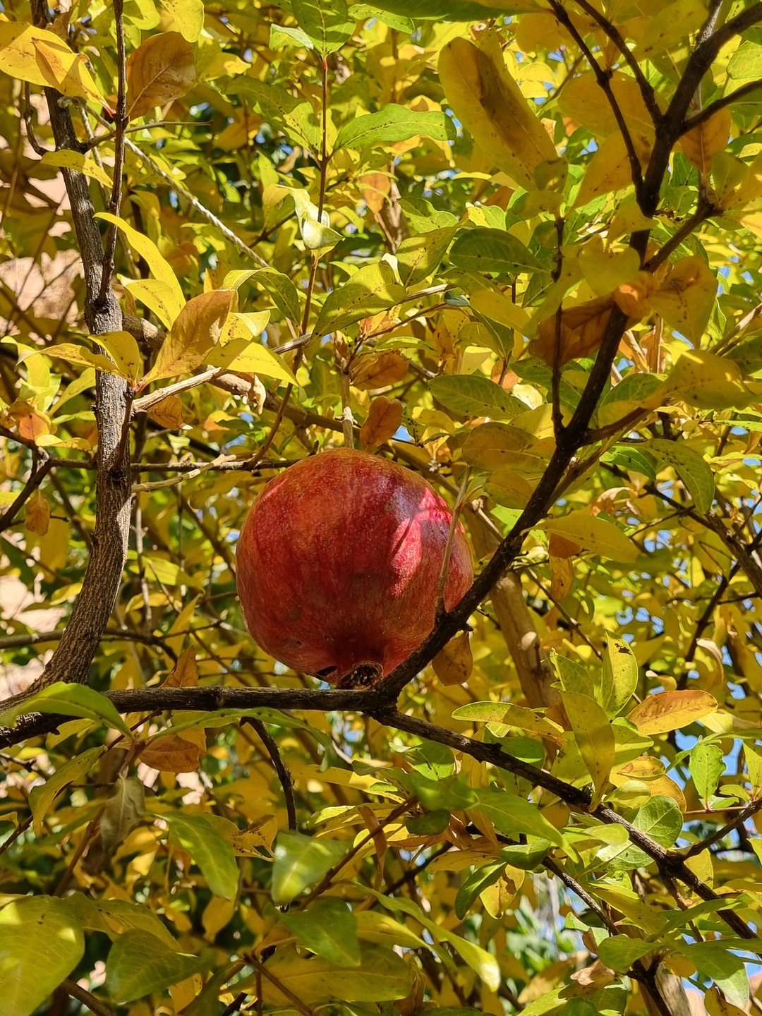 Это была увлекательная прогулка в сопровождении человека, любящего свой город и знающего его историю. Спасибо, Арам!