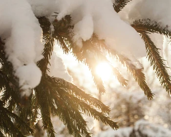 Гора Сампо, Марциальные воды, древний вулкан Гирвас и водопад Кивач