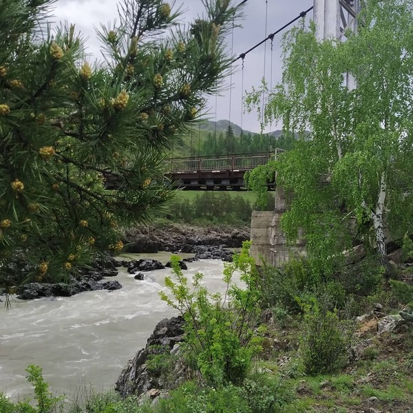 Лучшие пейзажи Чемала
