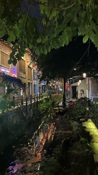 Прекрасный гид! Посмотрели весь Шеньжень за один день: парк, торговый квартал, старая рыбацкая деревня, погрузились в