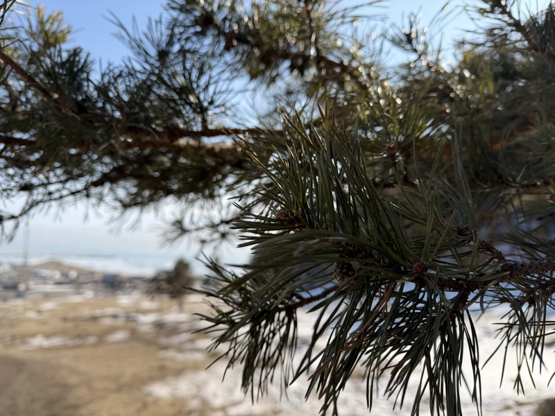 Алина прекрасно организовала нашу поездку. Отдельное спасибо нашему гиду Андрею. Послушали увлекательный рассказ об истории города