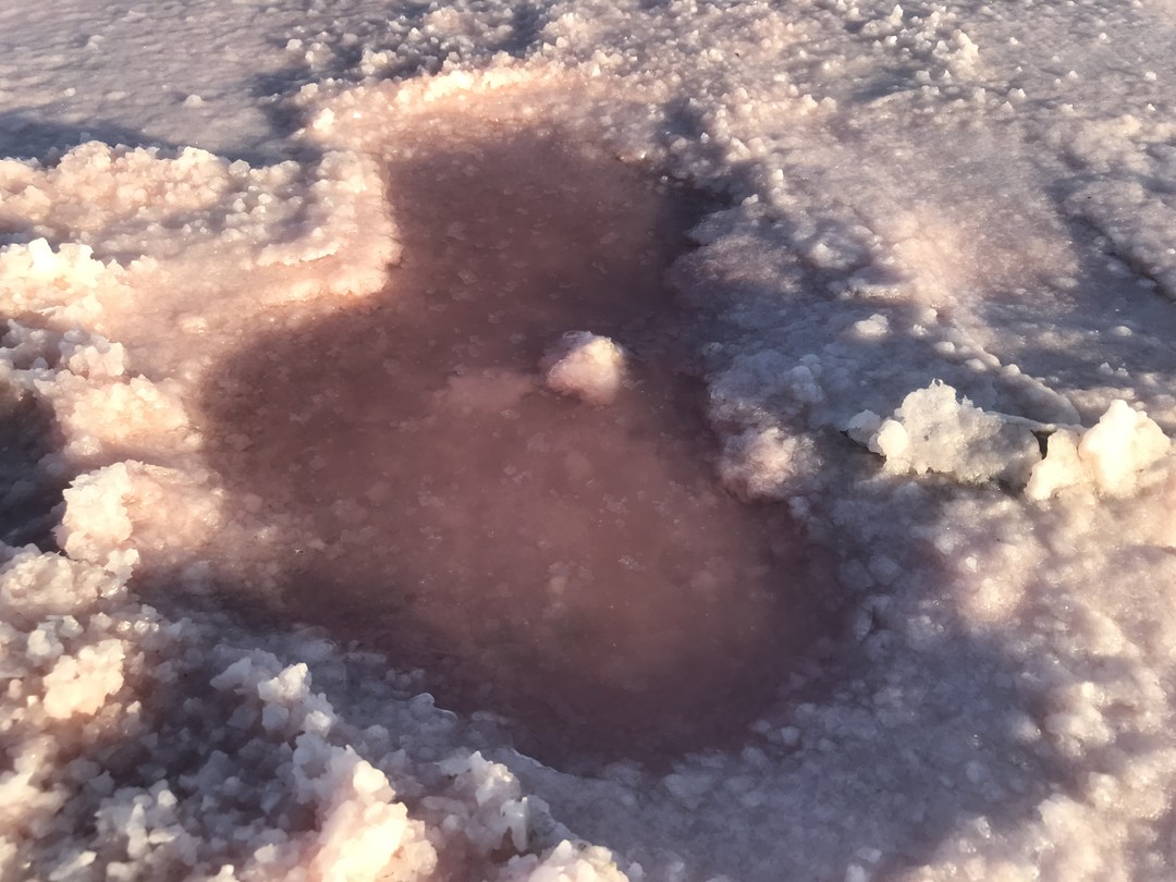 Хотим поблагодарить Зургана за проведённую экскурсию, приезжали на пару дней, хотели узнать как можно больше, наши