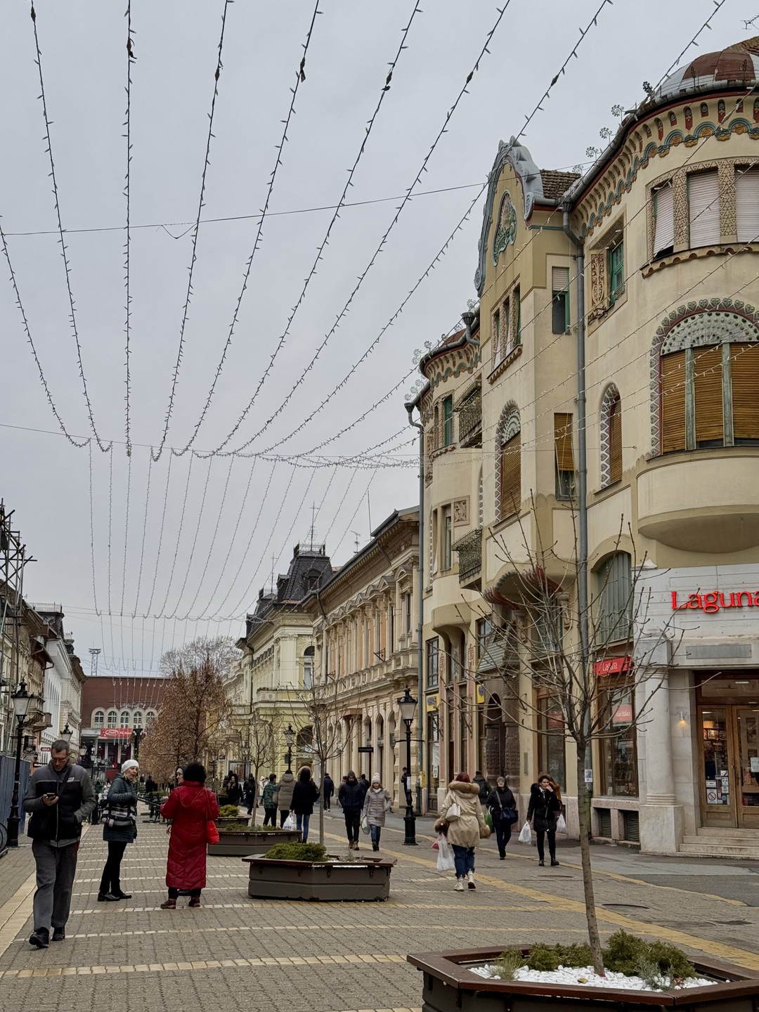 Прекрасно съездили в Суботицу, хоть погода была и морозной, не для прогулок. Заехали на озеро и
