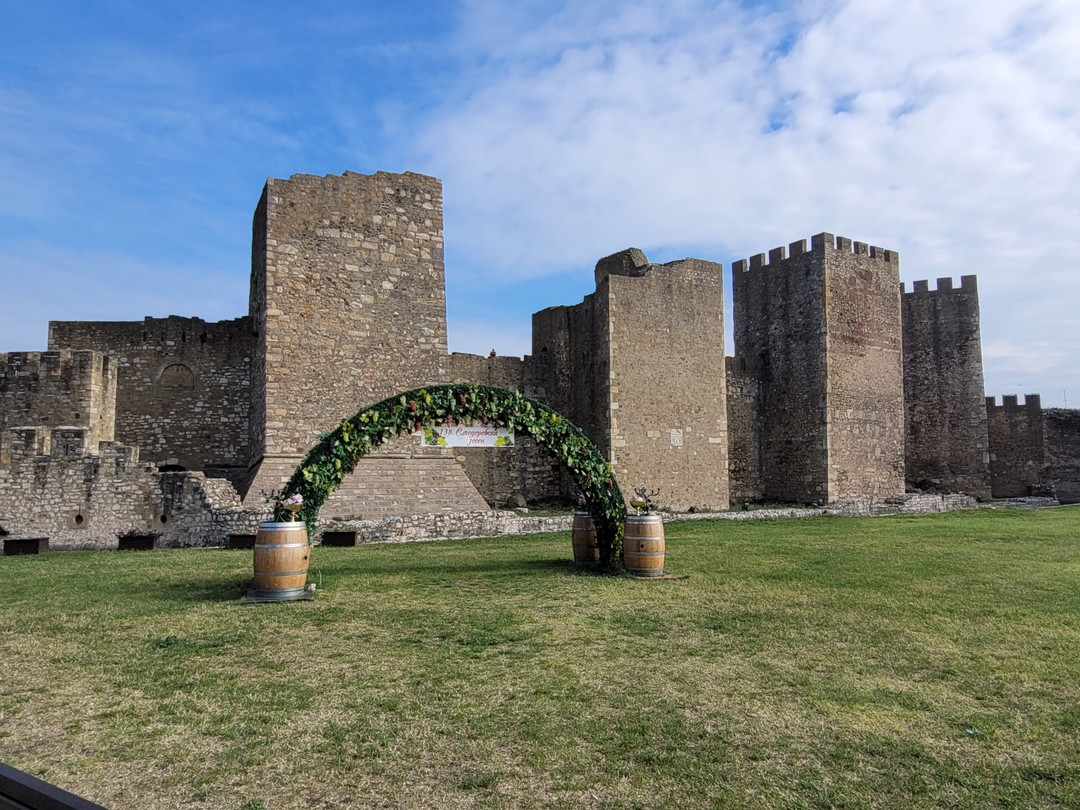 Прекрасный маршрут, интересный рассказ, море впечатлений. Мы посетили с Сашей 3 необыкновенно интересных места: Виминациум и
