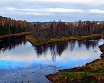 Гоморовичи, Родионово, Щелейки, Вознесенье