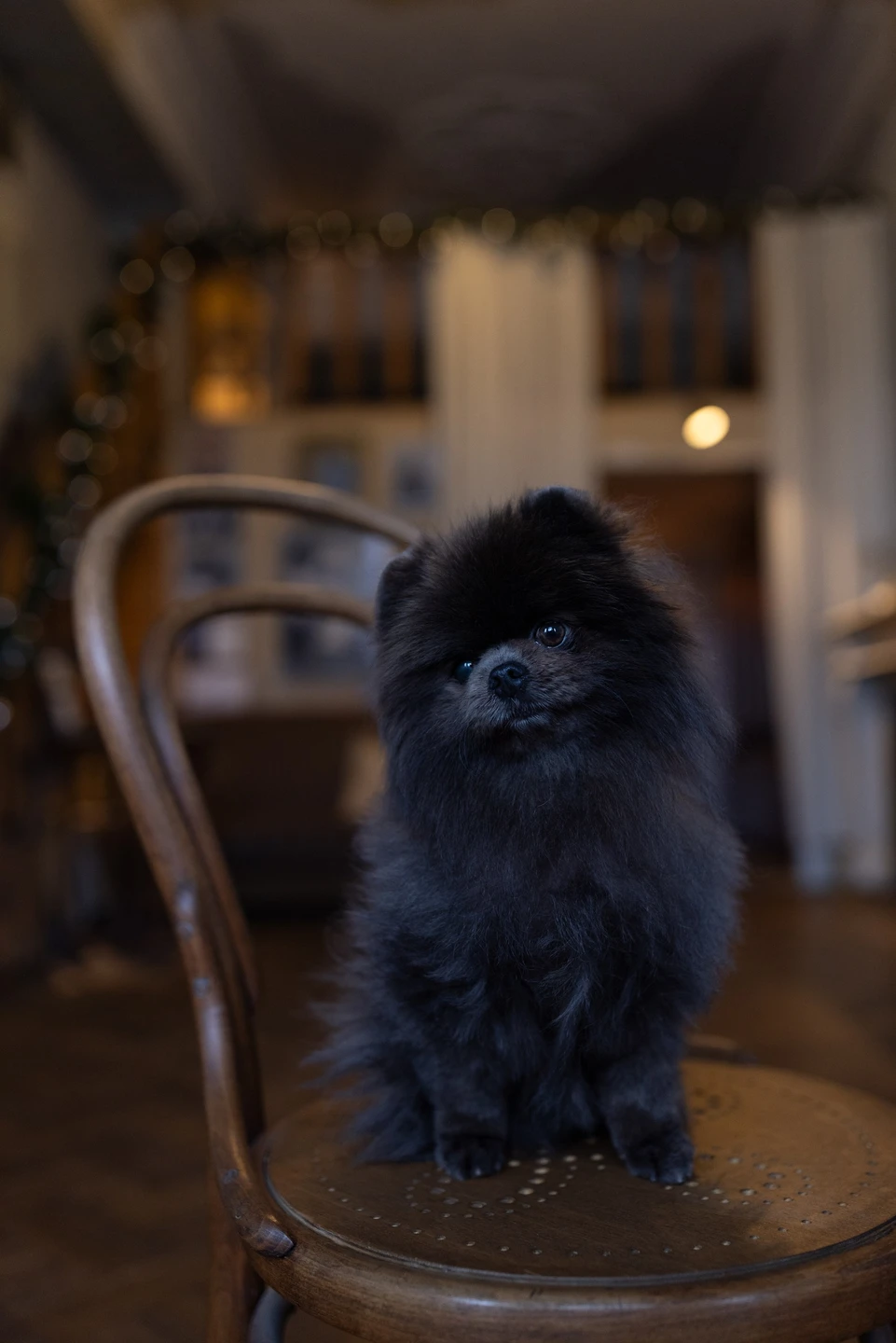 Хочу поделиться своими впечатлениями о потрясающей фотоэкскурсии в атмосфере старинной дворянской квартиры. Особенно хочу поблагодарить Алексея