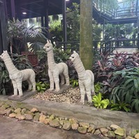 Фото отзыва 1: экскурсия "Из Паттайи — в парк растений «Нонг Нуч» (с обедом или без)"