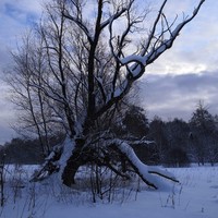 Фото отзыва 2: экскурсия "Ветлужская кругосветка — в настоящую русскую глубинку"