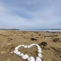 Фото отзыва 1: экскурсия "Экскурсия 3 в 1: сафари-парк + бухты Шамора и Стеклянная"