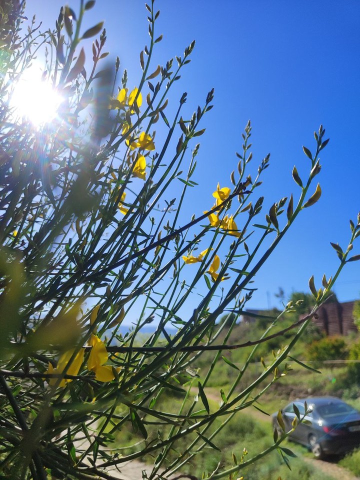 Хороший вариант для путешественников, которым нравится изучать локации самостоятельно, но интересно узнать факты об истории города