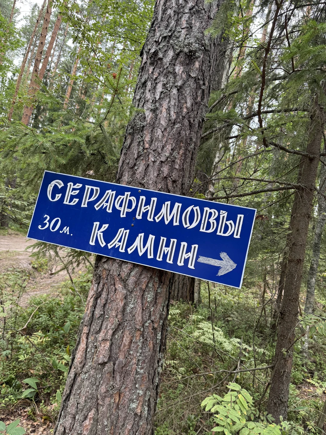 Дивеево — уникальное место, побывать в котором стоит каждому! Были на экскурсии с семьей в августе