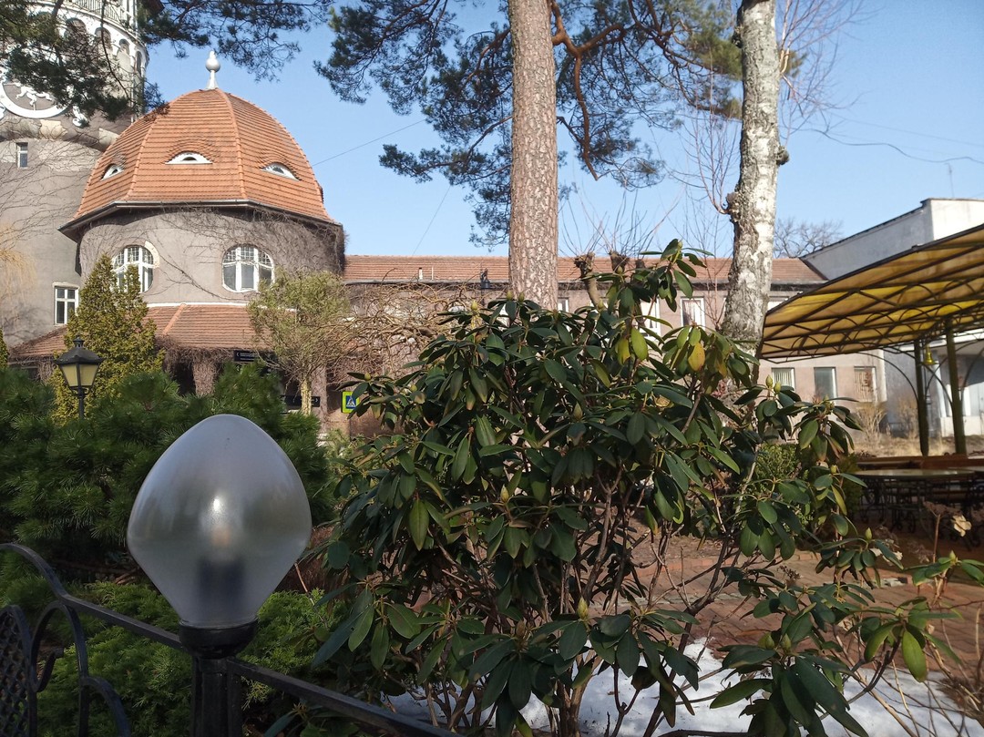 Благодарю Киру за прекрасную экскурсию: просто подарок к 8 марта! Я много раз была в Светлогорске