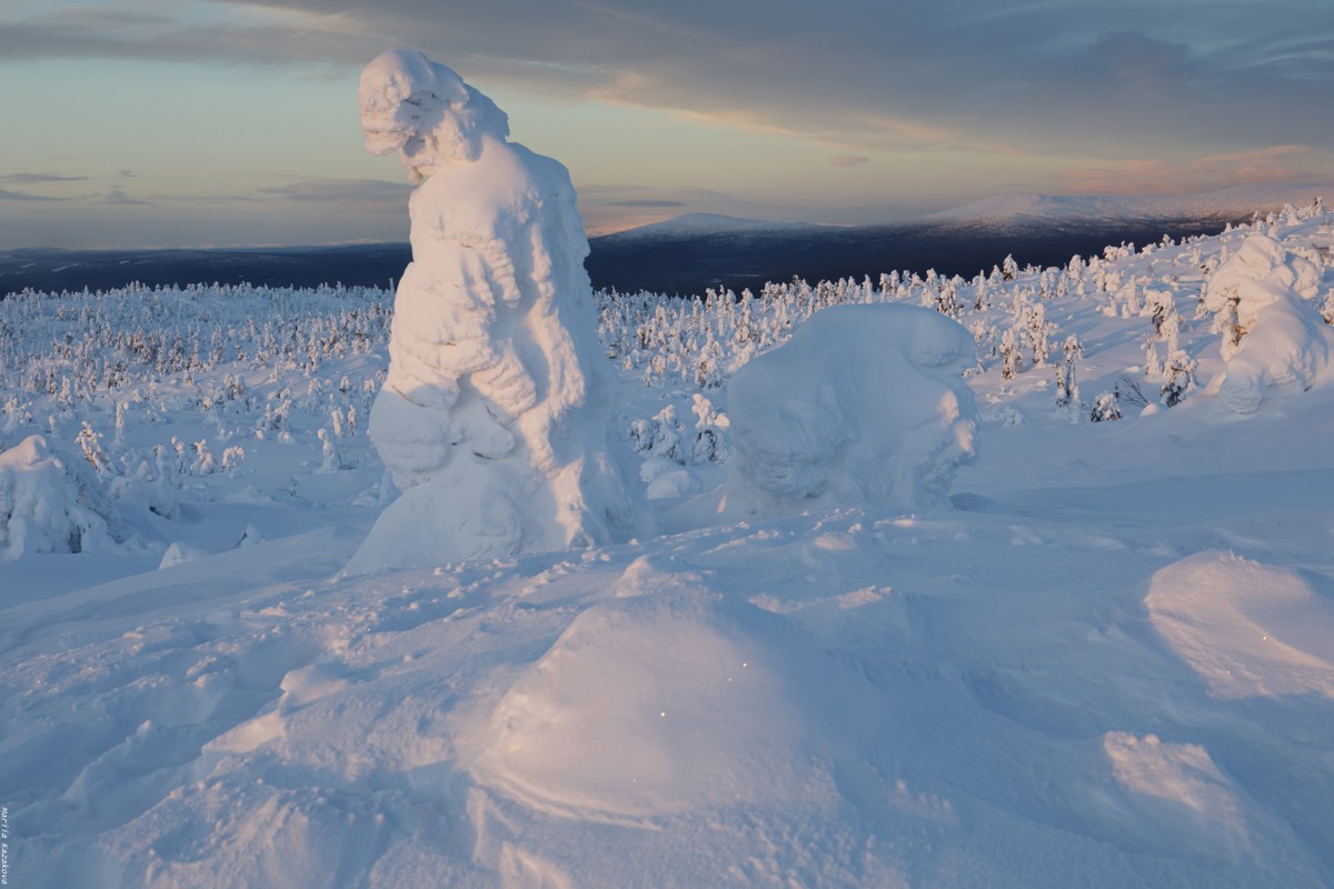 Зимний поход на гору Волосяная: снежные приключения в Кандалакше (5/8)