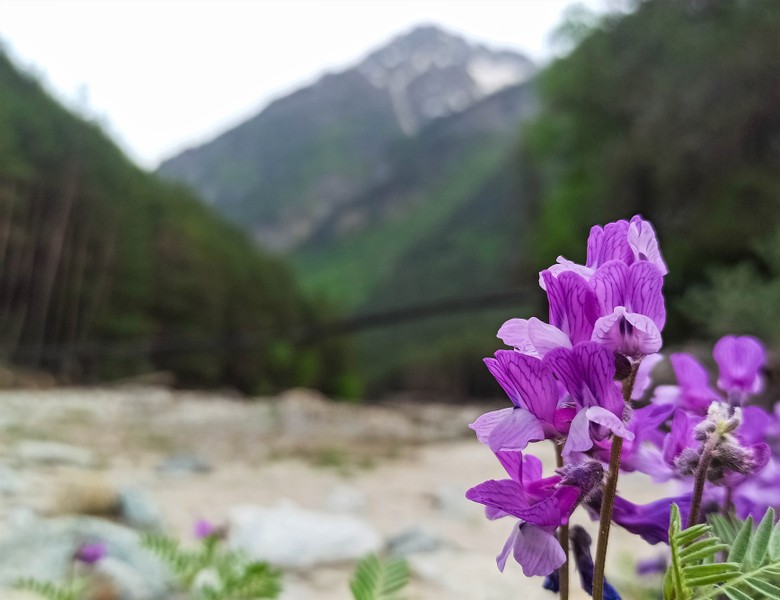 Виды Нетипичный Эльбрус из Железноводска: водопады, дикие ущелья и снежные хребты