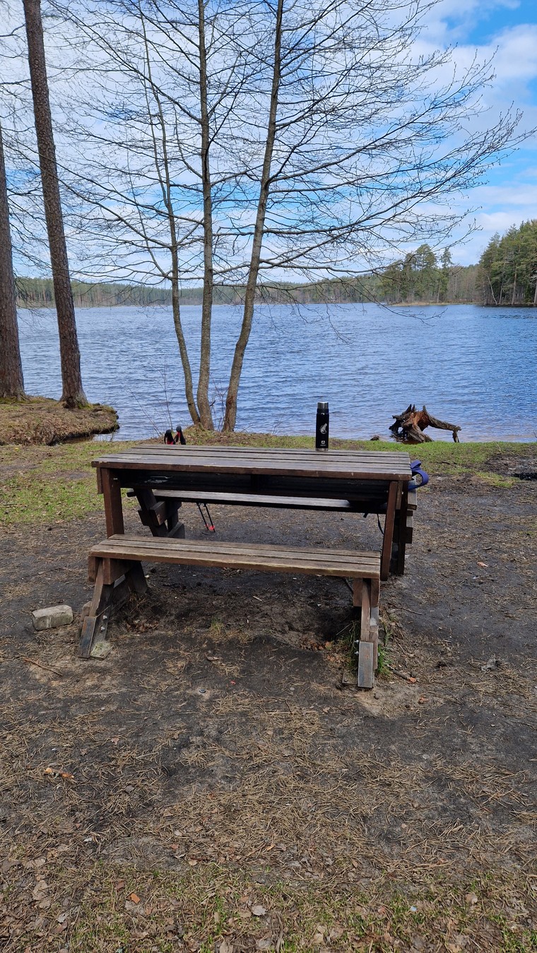 Утренний треккинг у озера Щучье (из Питера) (8/11)