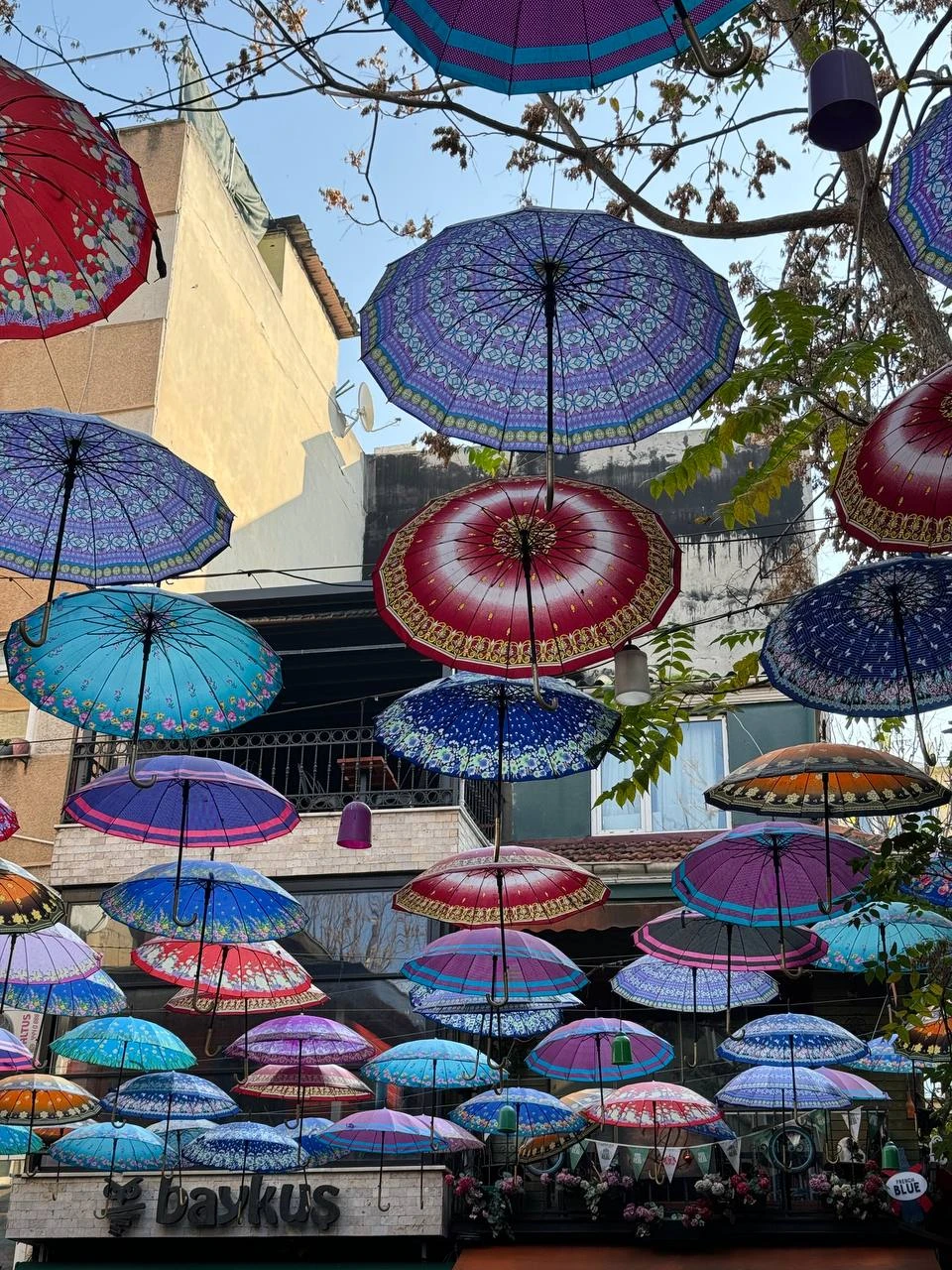 Потрясающая экскурсия! Нам настолько понравилось, что на следующий день взяли еще одну - Стамбул от Айя-Софии до Босфора