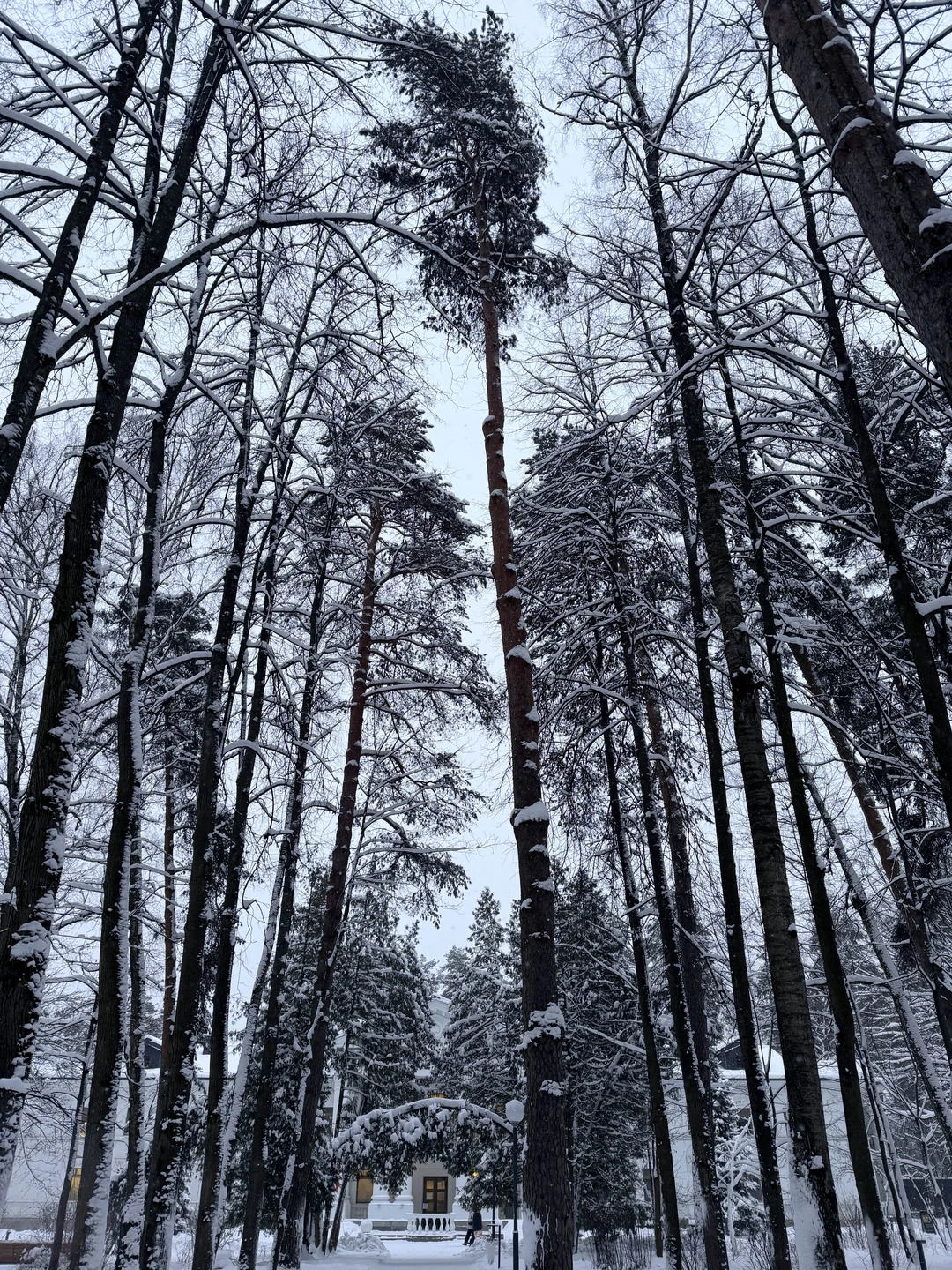 Литературное Переделкино (Елена)