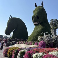 reviews img