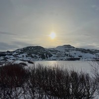 Фото отзыва 3: экскурсия "В Териберку — с юмором, легендами и хаски!"