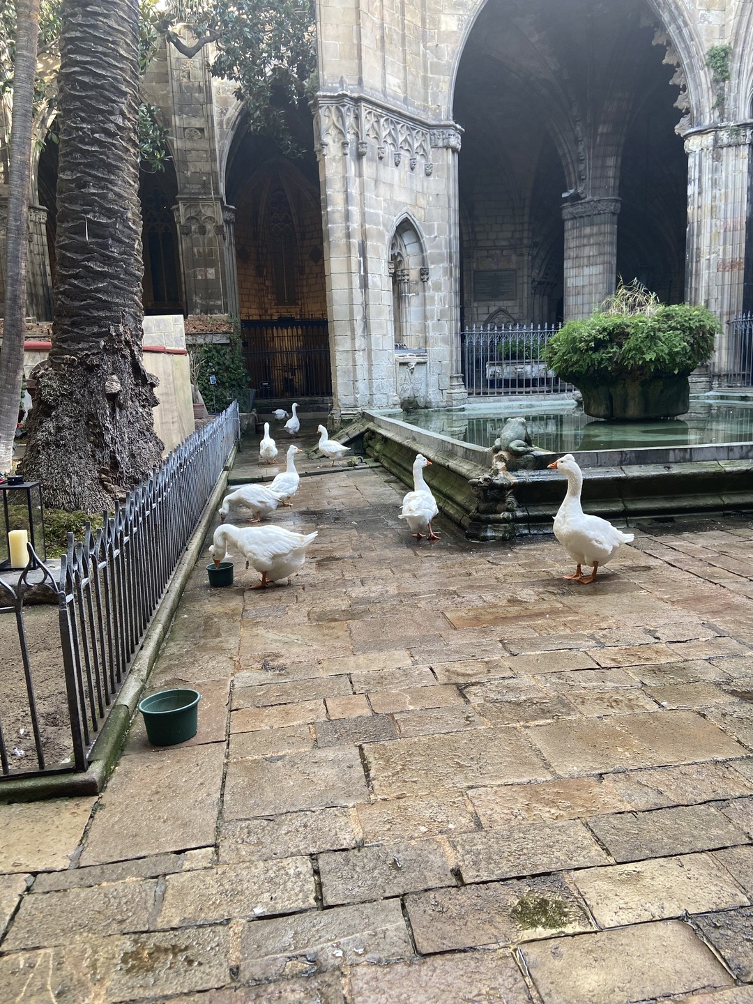 Готический квартал - сердце Барселоны (Olga)