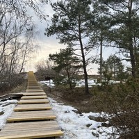 Фото отзыва 4: экскурсия "Куршская коса: природа и история"