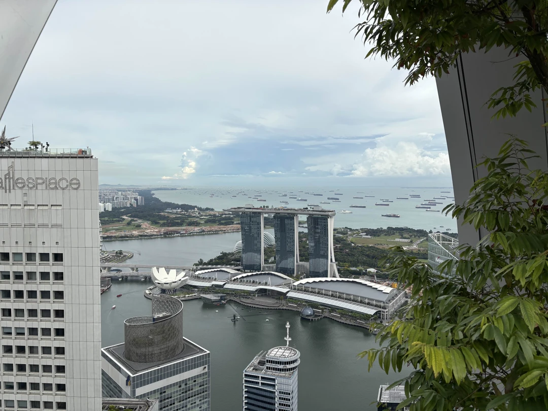 Повели прекрасный день с организатором Анастасией! Узнали история Сингапура, посетили много интересных локаций, вкусно пообедали! Рекомендую! Спасибо!