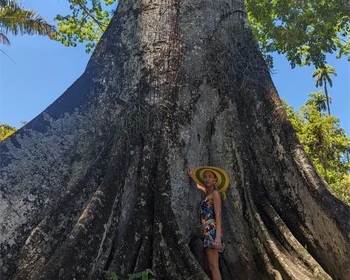 Прибытие в традиционное поселение на берегу Амазонки, ночное сафари в джунглях