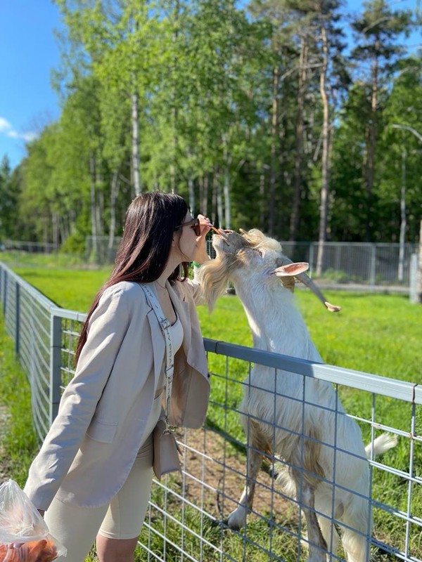 Фото - Экскурсия: "Карельский зоопарк и прогулка с видом на залив Кирьявалахти"