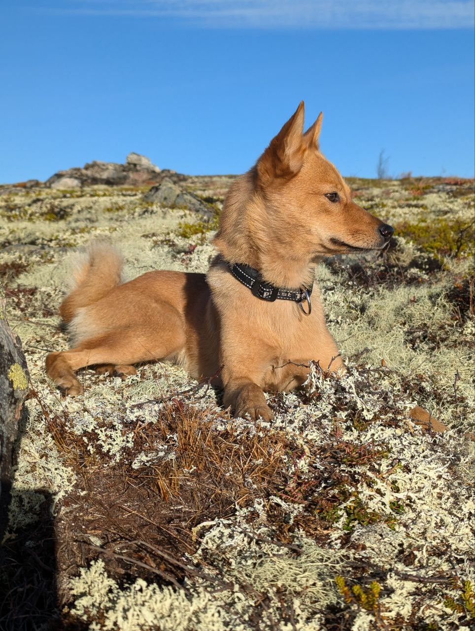 Восторга от нашего минипохода не описать! Если вы хотите в полной мере насладиться красотой северной природы,