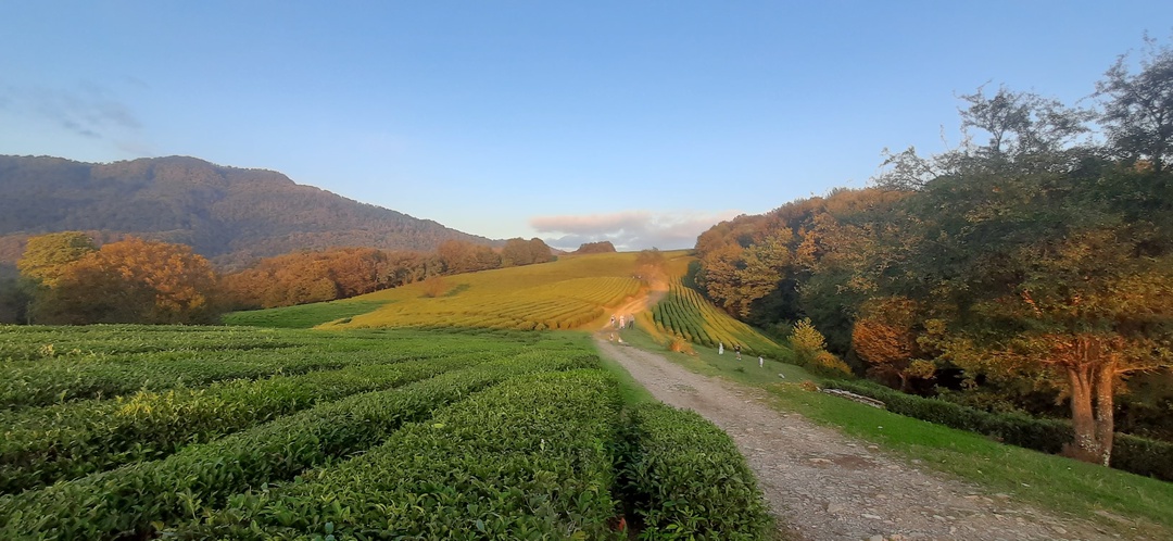 Экскурсия очень понравилась, все индивидуально, только для нас! Интересно, насыщенно, содержательно. Решили изменить немножко маршрут, смотровая