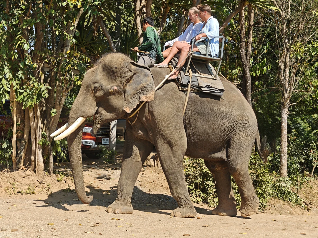 Ездили на экскурсию Река Квай на 2 дня 30-31 декабря 2025 года. Сразу скажу, что организация